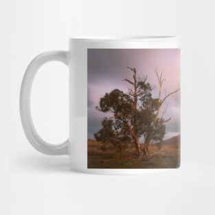 Australian Dawn Mug